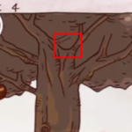 Screenshot_1