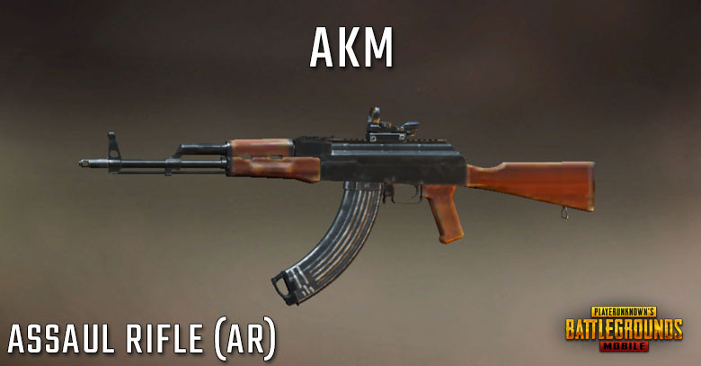 Штурмовая винтовка AKM